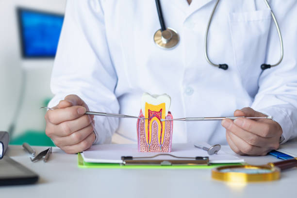 Best Root Canal Emergency Dentist  in Homedale, ID